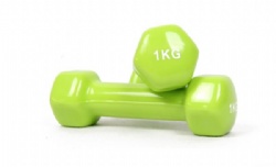 Vinyl dumbbell